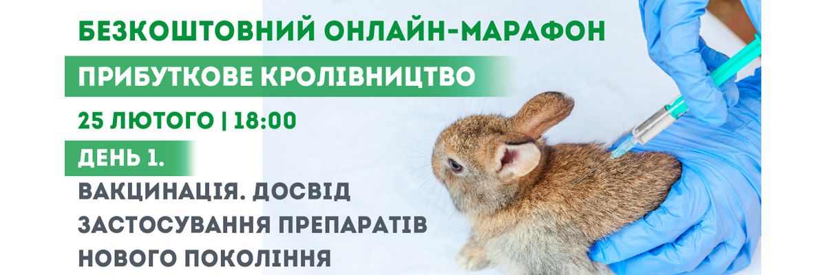 «Прибыльное кролиководство»: приглашаем на онлайн-марафон по профилактике и лечению кроликов