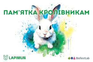 Обновленная Памятка кролиководам: практические советы о профилактике и лечении кроликов [Загрузить]